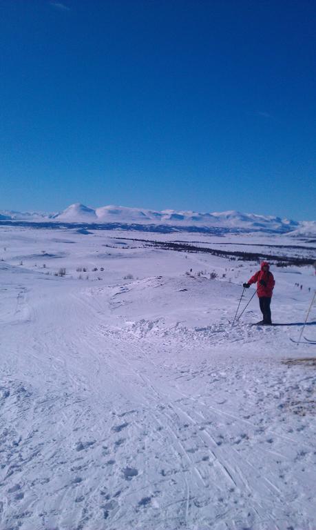 Valdres Naturlegvis Фагернес Экстерьер фото